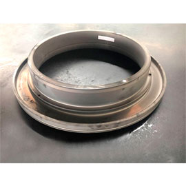 Nitride thrust ring 1